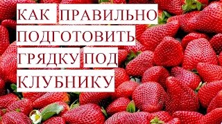 ⁣Размножение Клубники. Как Правильно Подготовить Грядку для Клубники. Сорта.