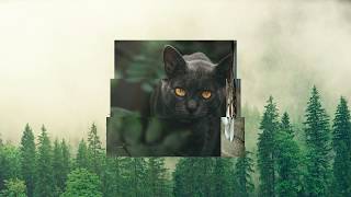 How To Make Cube Image Carousel Using Only HTML & CSS