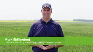 2021 BASF Virtual Infield Innovation Tours | BASF