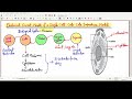 Electrical Circuit Model of a Single Cell :Cole-Cole Impedance Model