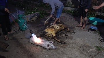 NGÀY ĐẶC BIỆT TẠI NHÀ EM THƠM | Nhịp Sống Tây Bắc