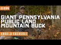 Giant pennsylvania public land mountain buck  listener success  east meets west hunt  ep 354