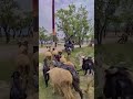 #viral #trending #fyp #foryou #foryoupage #explorepage #trend #viralvideo #tiktokviral #reelsviral.