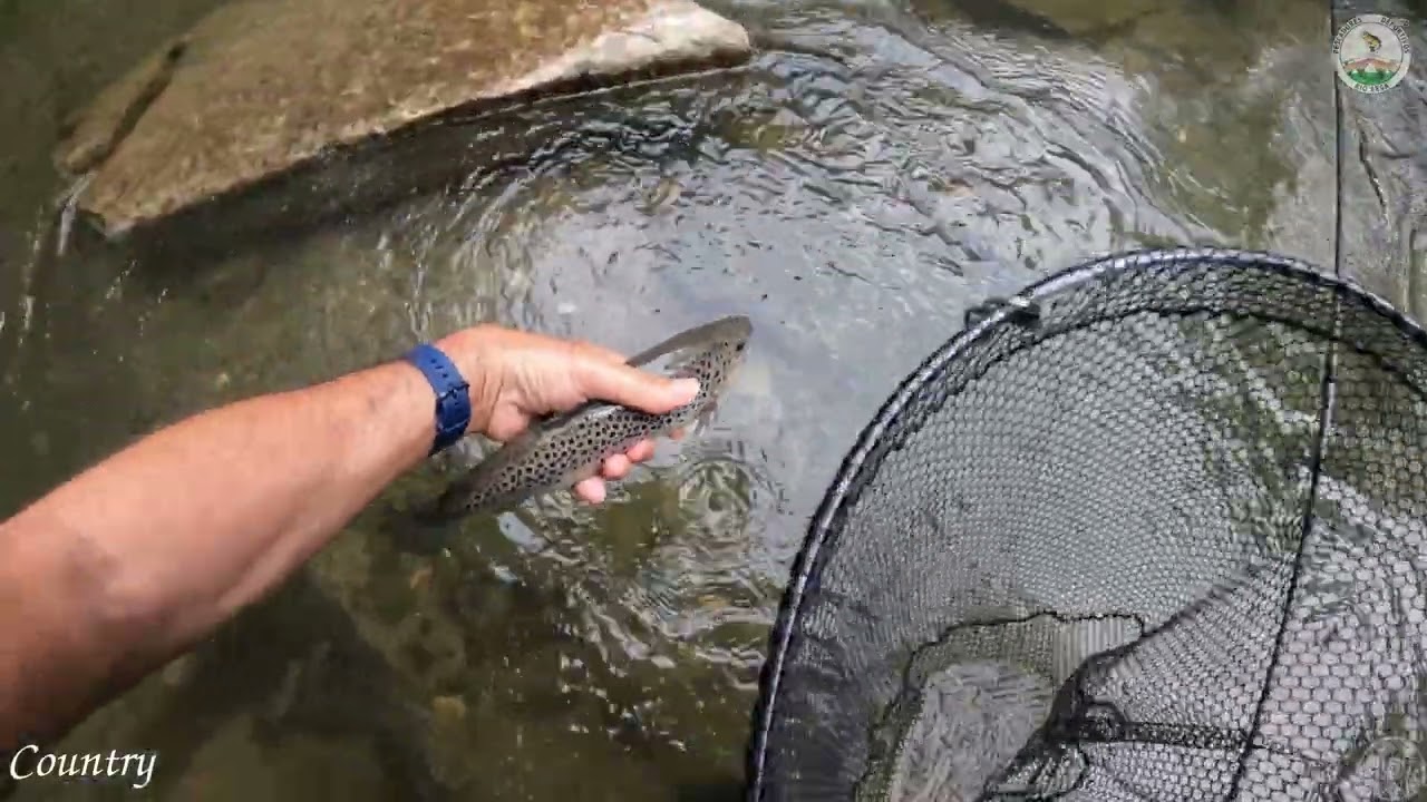 Pescando a mosca en el intensivo del río Arga, 19/06/2023