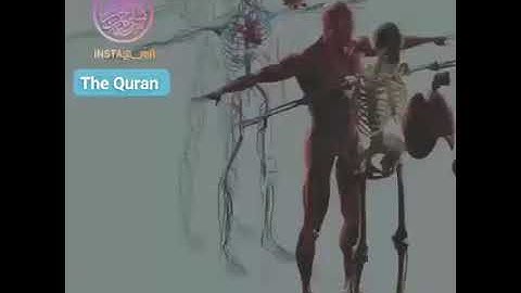 قصة سورة التين والزيتون