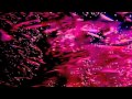 xxyyxx x clams casino x flying lotus type beat Yukøn XXXX
