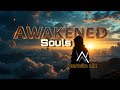 Awakened Souls Alan Walker Style Emotional 2025 Official Music 