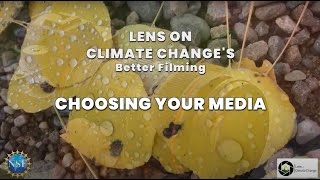 LOCC: Choosing Your Media