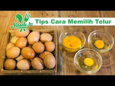 Video: Cara Memilih Telur Ayam