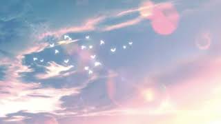 The Weeknd  Lonely Star pitched  Reverb