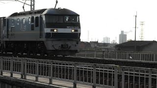 EF210-313 ECO-POWER桃太郎 吹田機関区