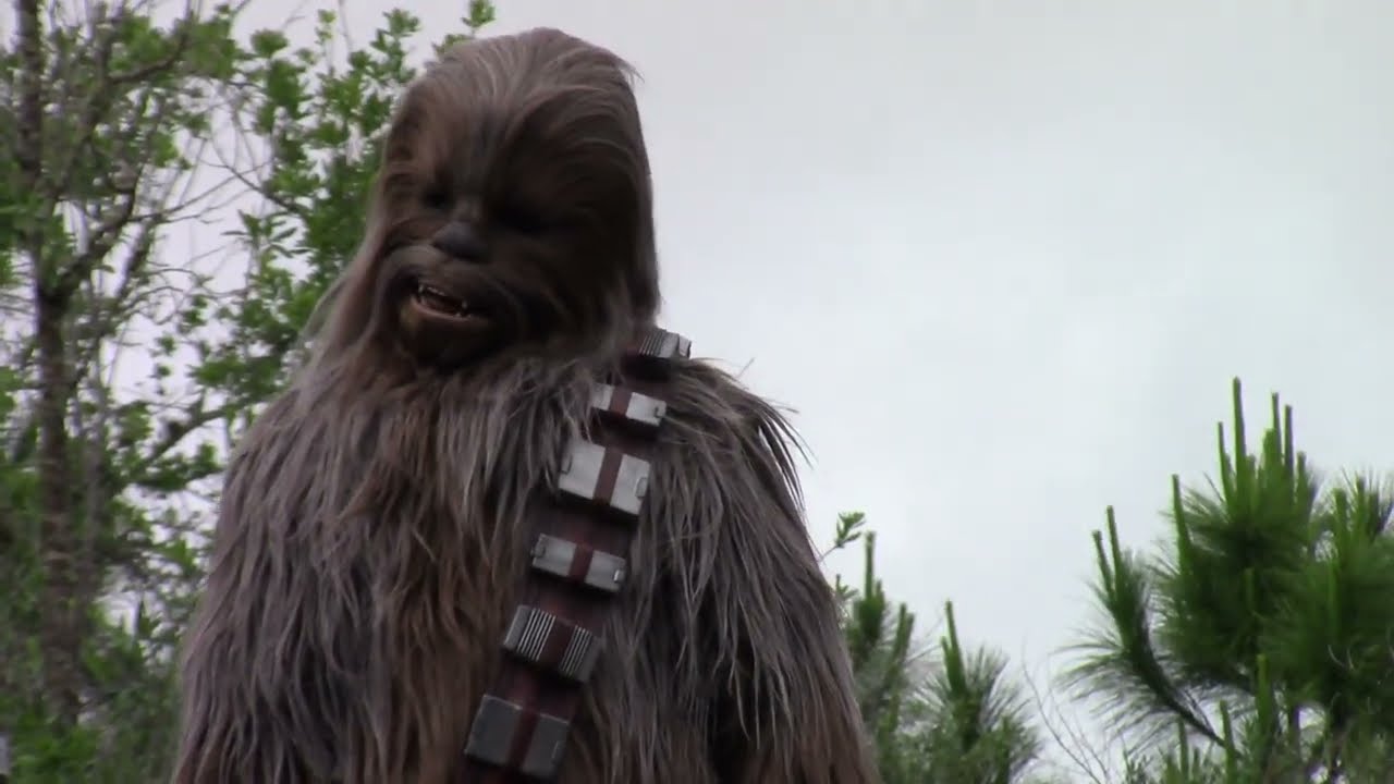chewbacca at Star Wars: Galaxy's Edge - walt disney world