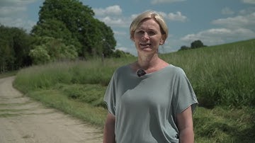 Erklärfilm Insektenschutz in Kommunen