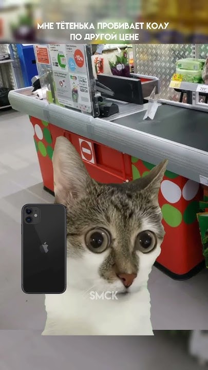 Типичный случай на кассе 😂 #Shorts #Коты #Мемы #КотМемный - YouTube