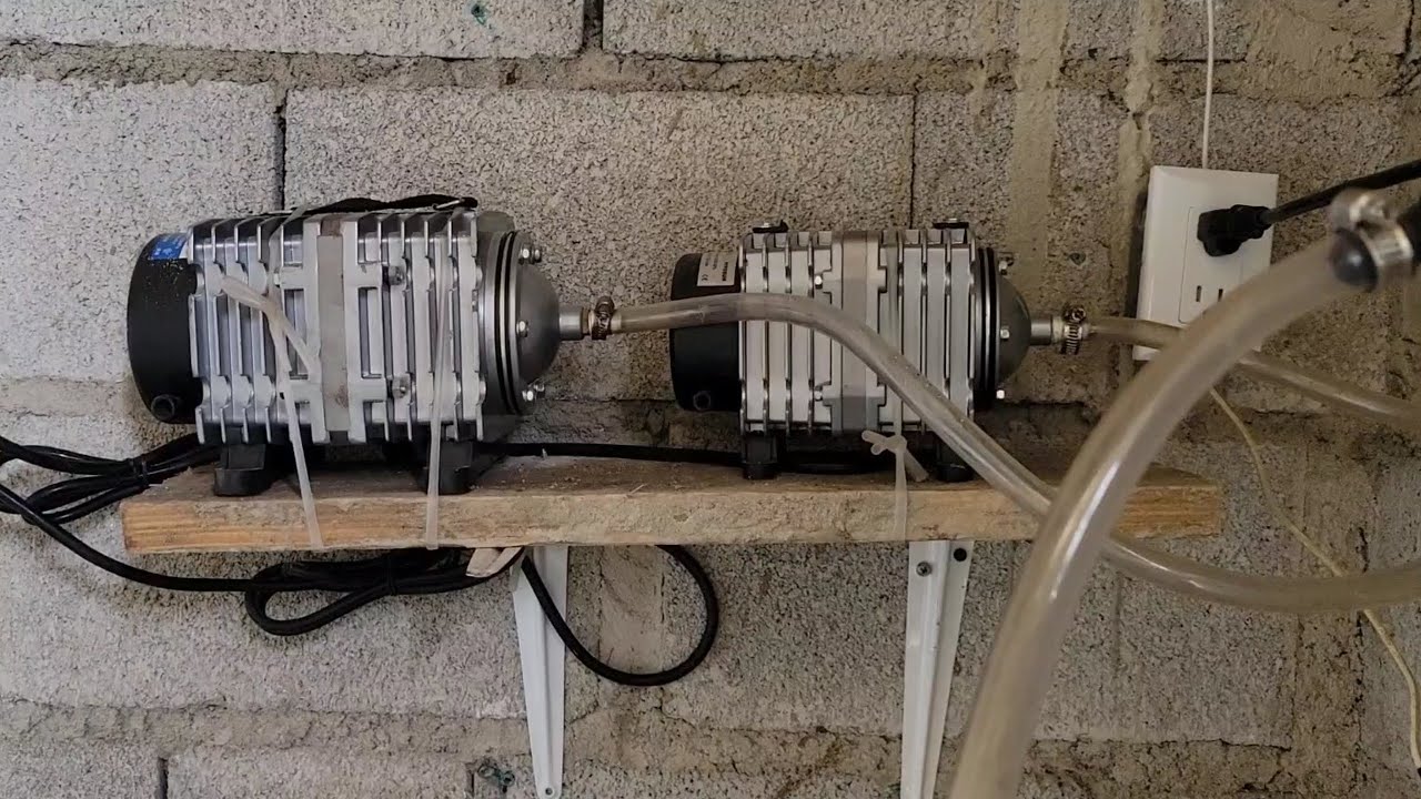 Como oxigenar el acuario o estanque de forma correcta.