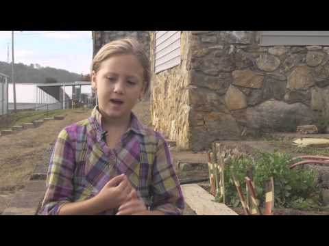 Community Transformation, Region 2: Mars Hill Elementary School Garden