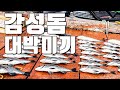 [다리tv] 감성돔만 마릿수로 잡아내는 대박 미끼!!! ☆ 감성돔 마릿수 포인트 ☆