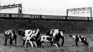 Milton Keynes: Then and Now