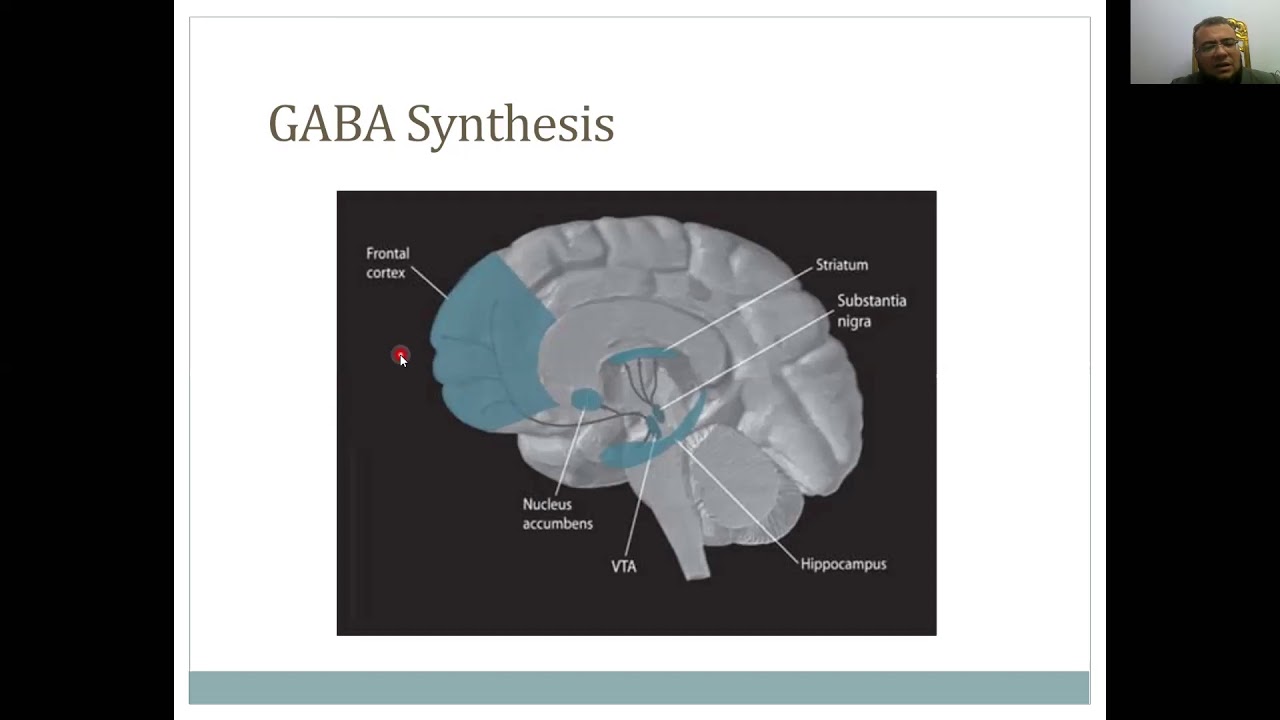 Neurotransmitters