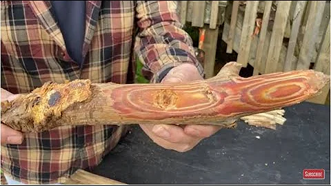 Pine Knots Are A Fire Makers Baton, Bearing Block,...