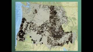 Mapping and Modeling Annual Probability of Year Round Streamflow:  A Case Study