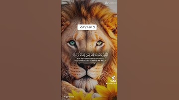 💝 قران كريم 💝 #اكسبلور #المصحف #الرحمن #دويتو #duet #تيك_توك #حالات_واتس #لايك #راحة_نفسية #رعد_ال