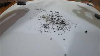 The oxygen scavengers in food packets are FERROMAGNETIC!