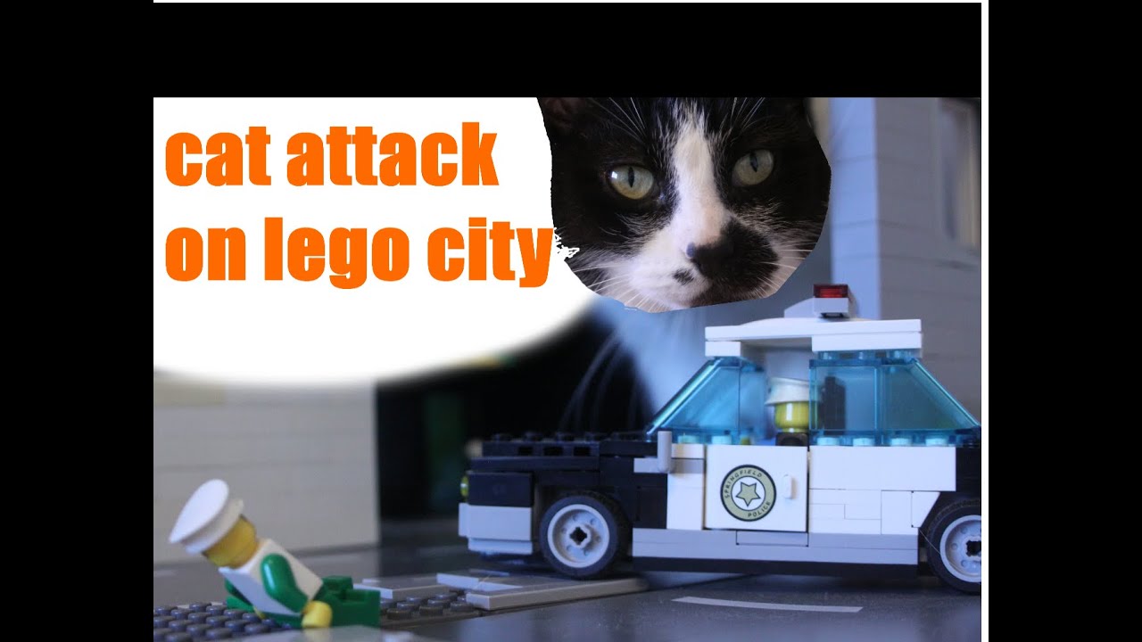 lego city cat