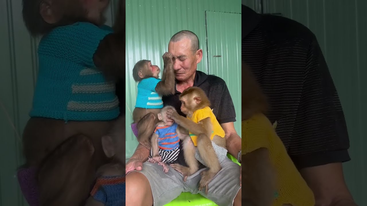 Sam boy takes care of Monkey baby Theo Asher takes care of grandpa 