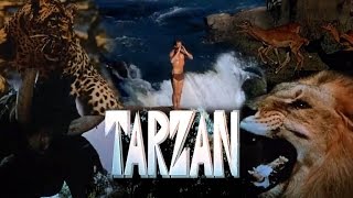 Tarzan 1966 - 1968 Opening and Closing Theme (With Intro & Snippet)