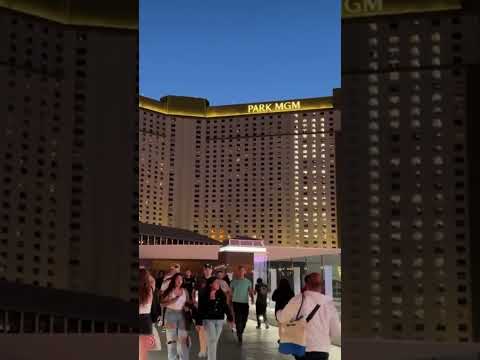 Park Mgm Las Vegas Review June 2023