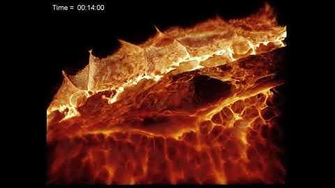 Superresolution 3D Microscopy