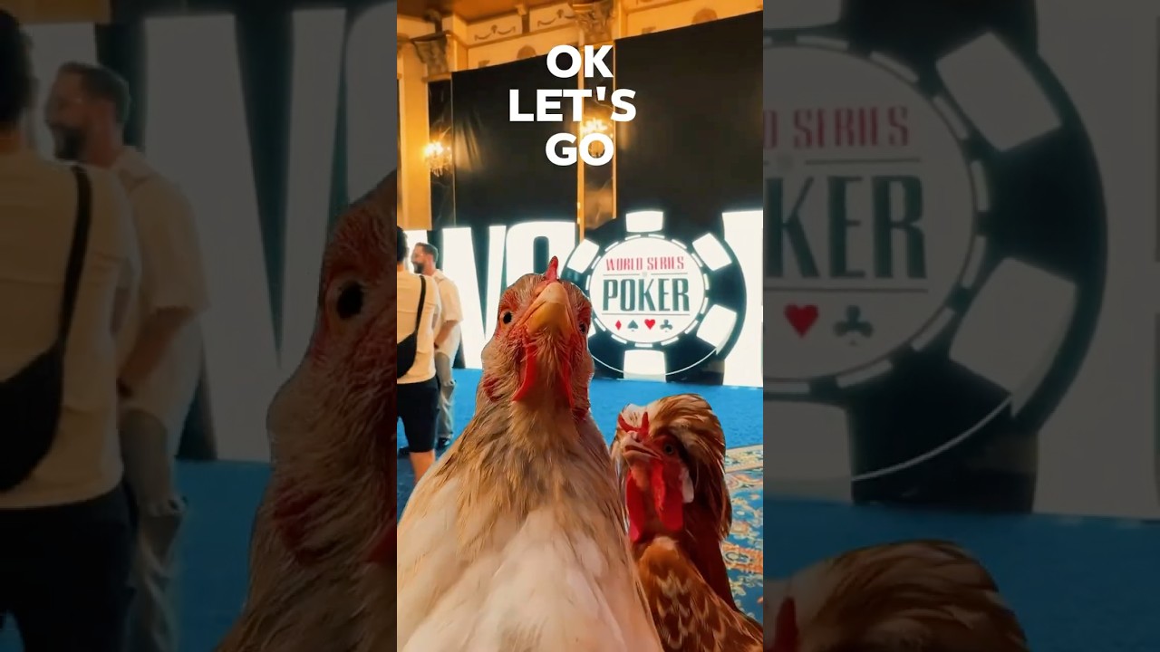 Erste Tüte ist da 🔥 Vegas Vlogs kommen in Kürze ❗️