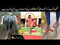 MOST FUNNY MOMENTS OF PAKISTANI |video 73 😅😛 PEOPLE | Pakistani Funny Video