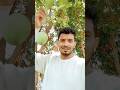 Village Vlog l mango tree l Freedom lifestyle #freedom