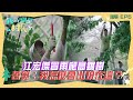 【我的明星村長】江宏傑冒雨爬高鋸樹 苦笑：我怎麼會出現在這？