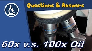 🔬 Should I buy a 60x dry objective instead of a 100x Oil? | Amateur Microscopy