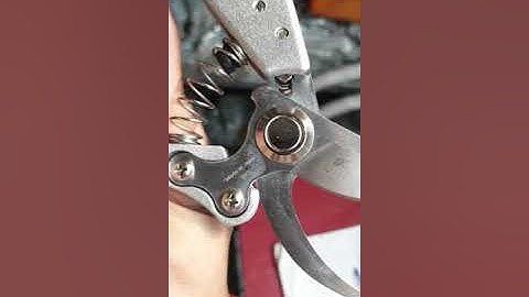 Kéo cắt cành  hãng kapusi