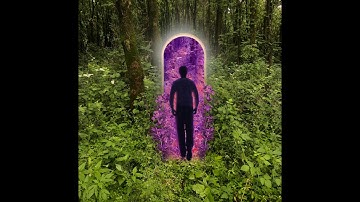 NaturoSynth - Reality To Another (2020)