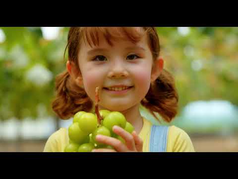 ขอแนะนำ K-Grape (Introducing K-Grape 30s)