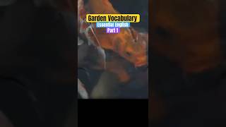 Part 1 Garden Vocabulary in English #learnenglish #gardening #englishlessons #garden