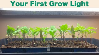 Grow Lights for Seed Starting
