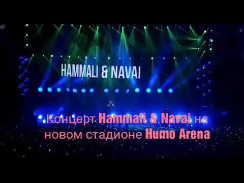 Хавали навали концерт