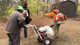 Leaf removal