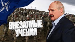 Внезапные учения Беларуси с НАТО / ПРОБЕЛ
