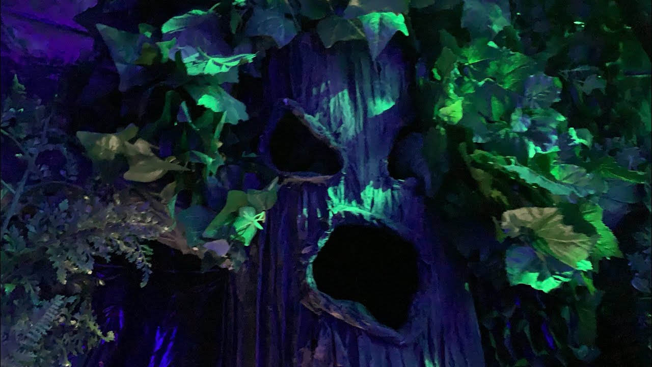 I Built A Haunted Forest In My Garage For Halloween YouTube i-built-a-haunted-forest-in-my-garage-for-halloween-youtube