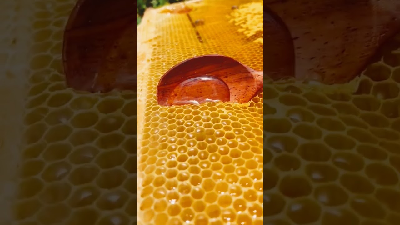 so-satisfying-youtube