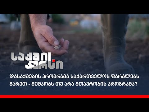 დასაქმების პროგრამა საქართველოს ფარგლებს გარეთ - მუშაობს თუ არა მთავრობის პროგრამა?