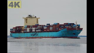 Maersk Londrina - Shipspotting Germany Imo 9527037 - River Elbe Near City Otterndorf - 4K Video
