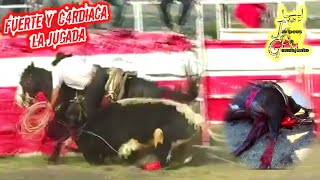 CORNAD4 M0RTAL DEL CARTEL DE RANCHO LA BUFA